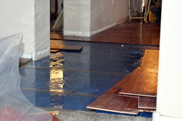 Professional Water Damage Restoration technician working in Nordheim, TX